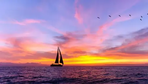 Sunset Dolphin Sail Aboard Daydreams